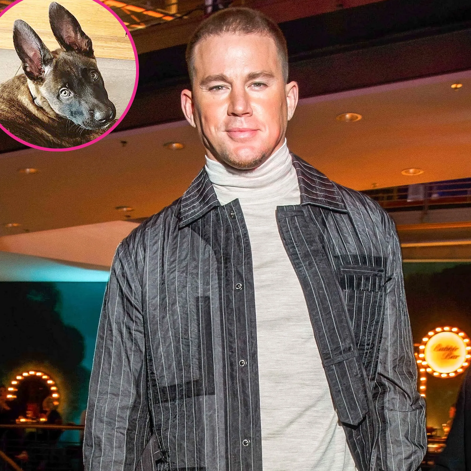 Channing Tatum Adopts Sweet New Dog Named Rooklin