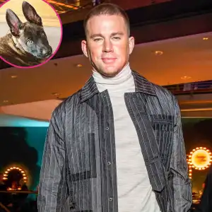 Channing Tatum Adopts Sweet New Dog Named Rooklin