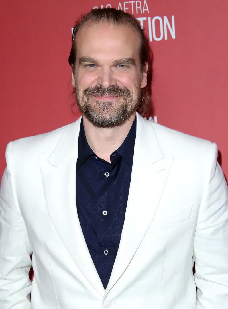 David Harbour Bio Page