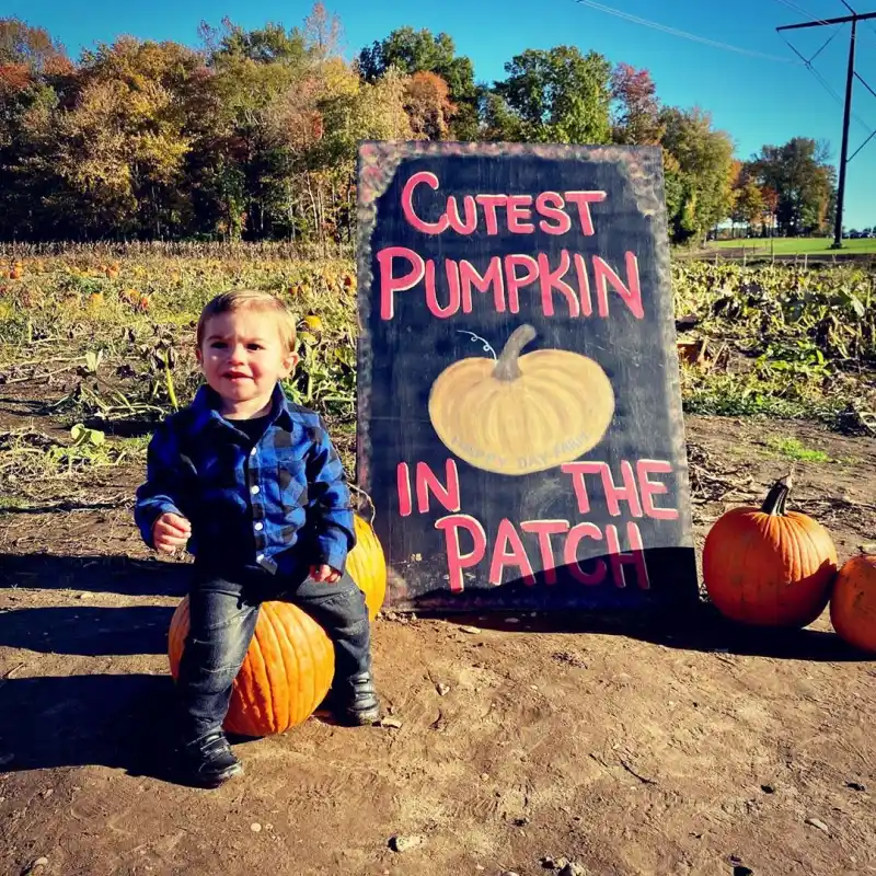 Deena Nicole Cortese pumpkin patch