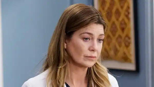 Ellen Pompeo This Very Well Could Be the Final Season of Grey's Anatomy