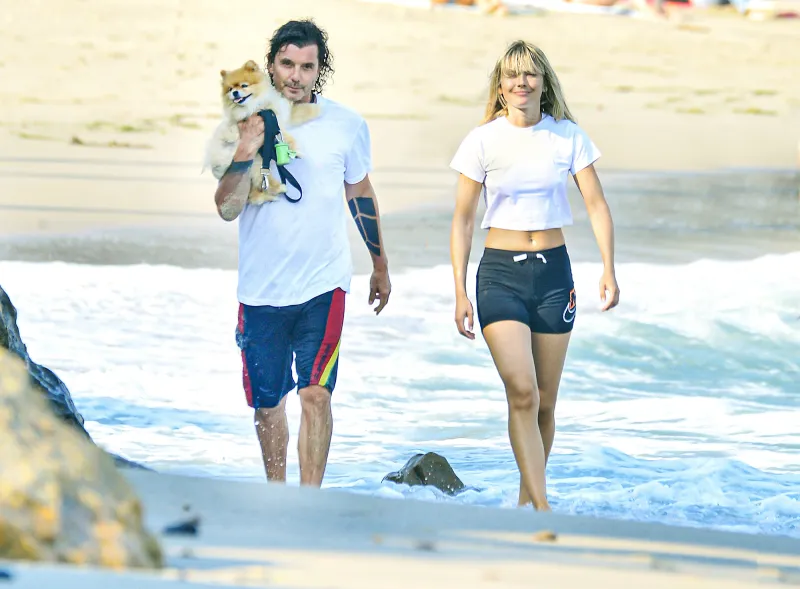 Gavin Rossdale dog walk beach