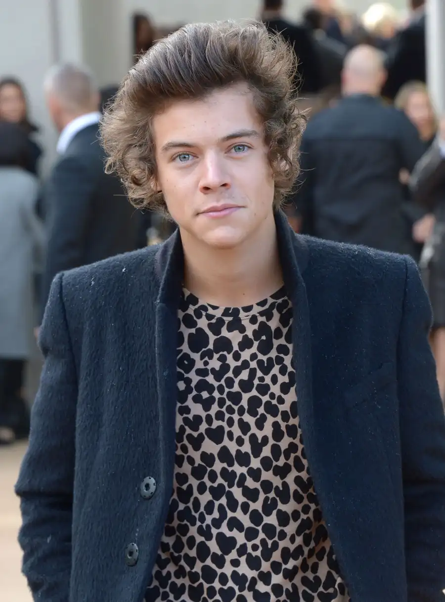 Harry Styles Hair Changes Over the Years