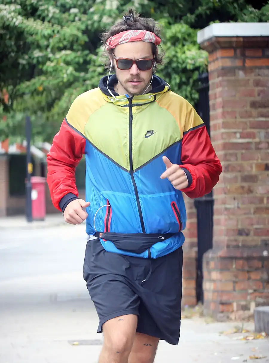 Harry Styles Hair Changes Over the Years