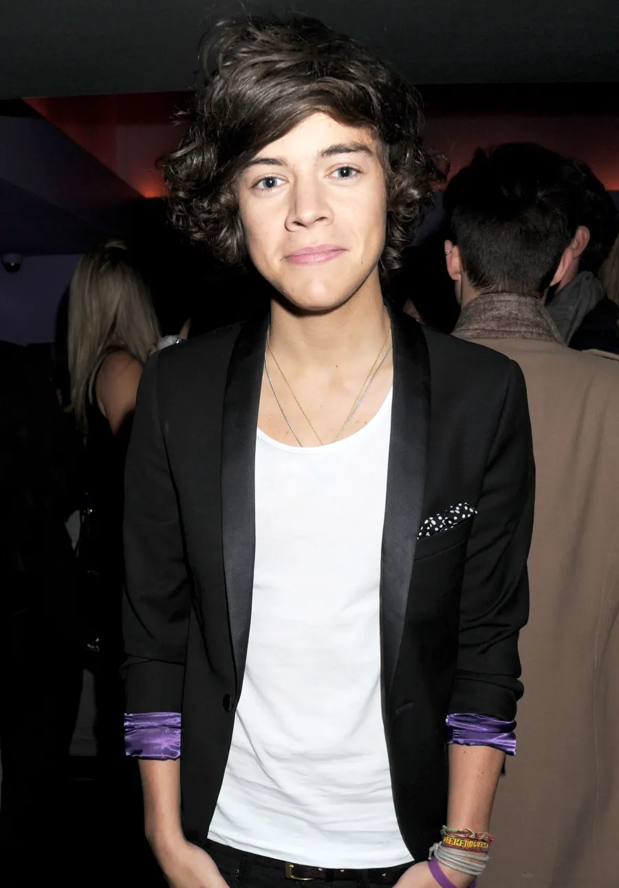 Harry Styles Hair Changes Over the Years