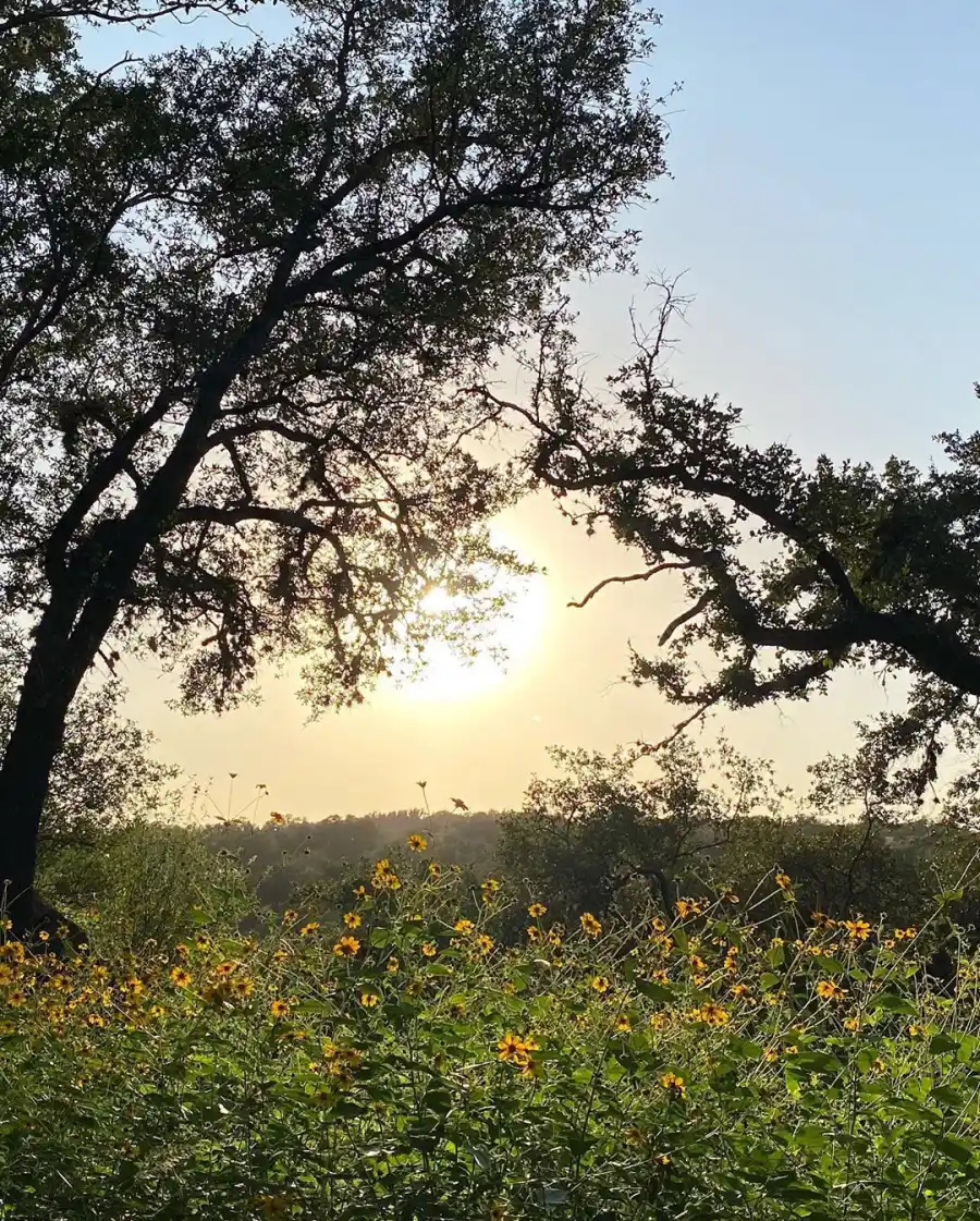 James Van Der Beek Family Arrives Texas After Drastic Life Changes