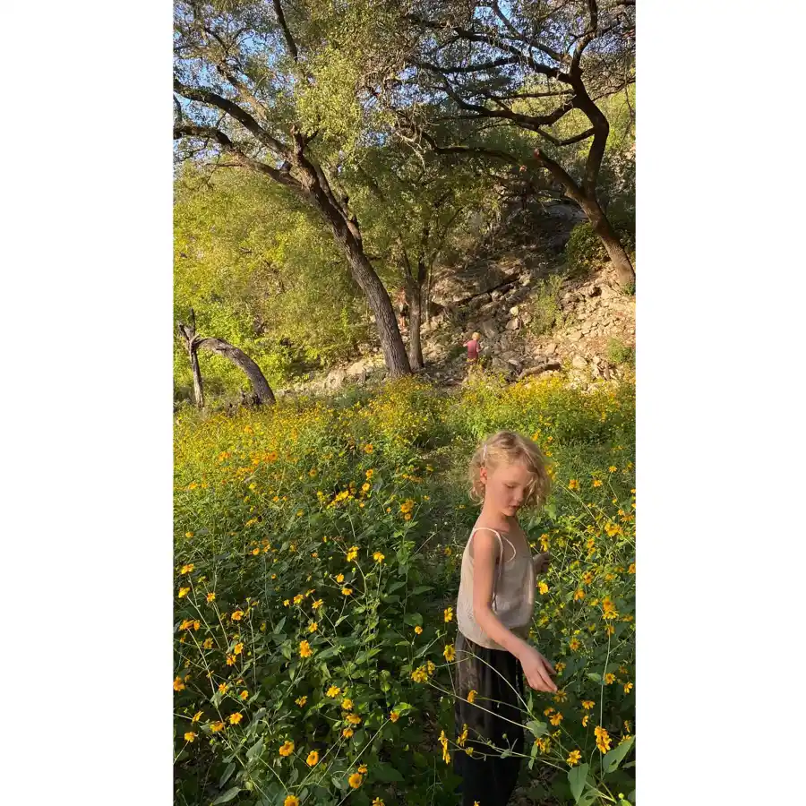 James Van Der Beek Family Arrives Texas After Drastic Life Changes