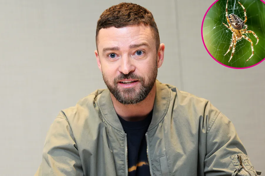 Justin Timberlake spider phobia