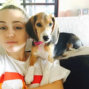 Miley Cyrus Says Her Dog Was Electrocuted on ‘The Voice’ Set But Is ‘Fine’ Now