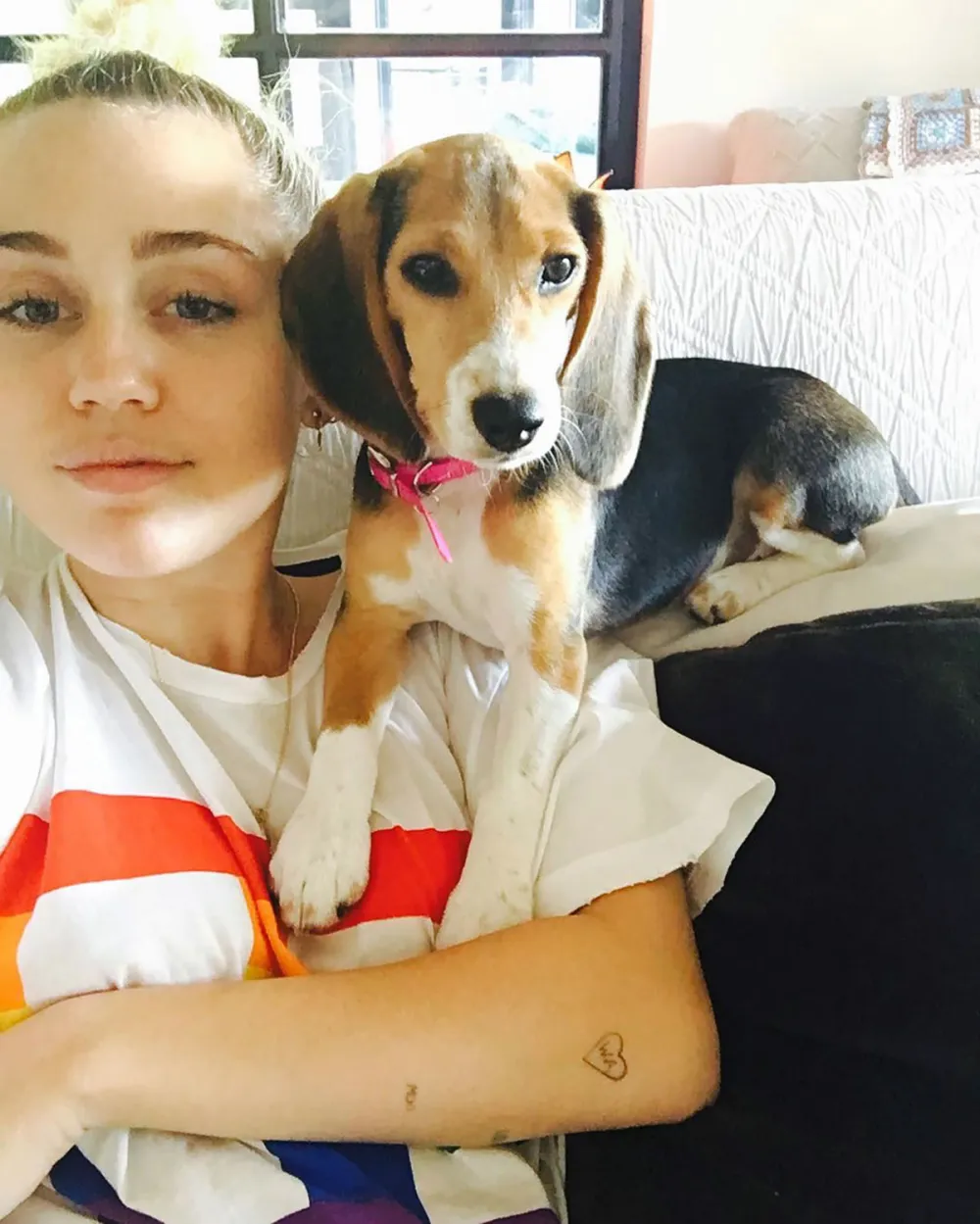 Miley Cyrus Says Her Dog Was Electrocuted on &lsquo;The Voice&rsquo; Set But Is &lsquo;Fine&rsquo; Now