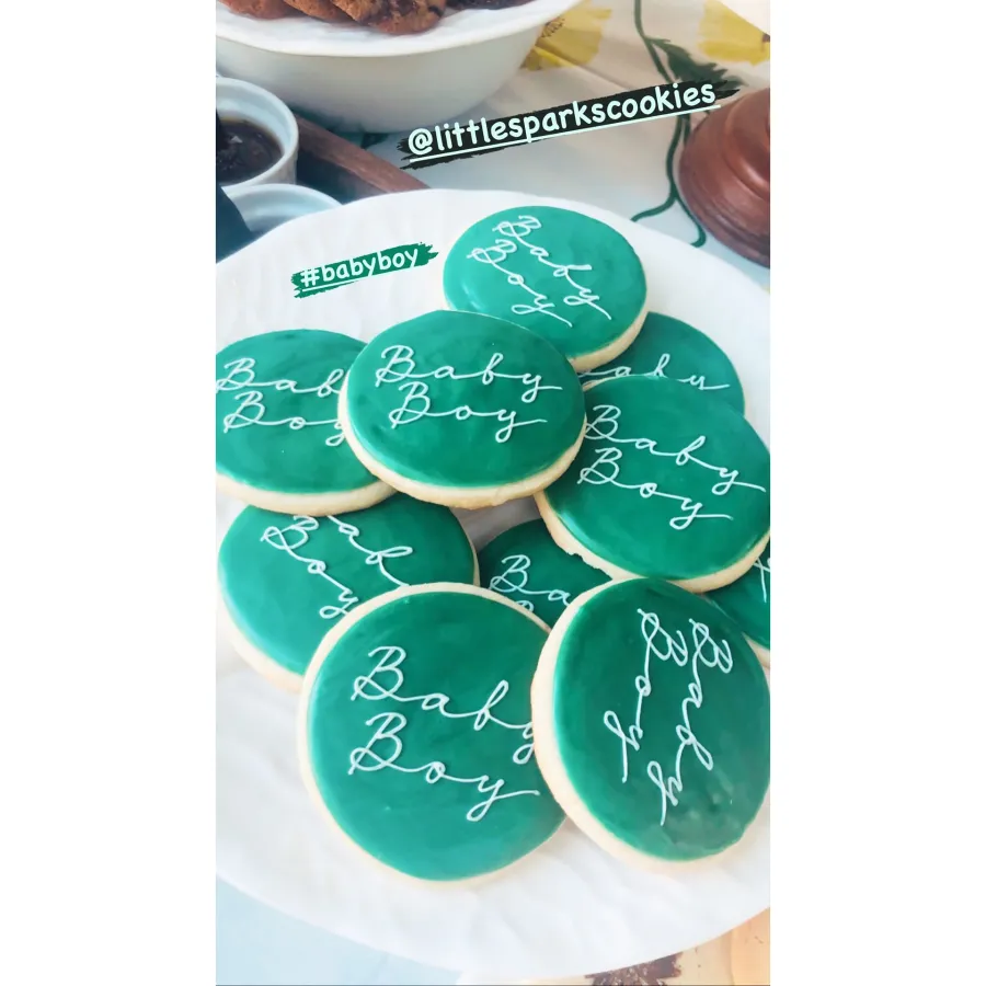 Pregnant Emma Roberts Celebrates Her Baby Shower in L.A.