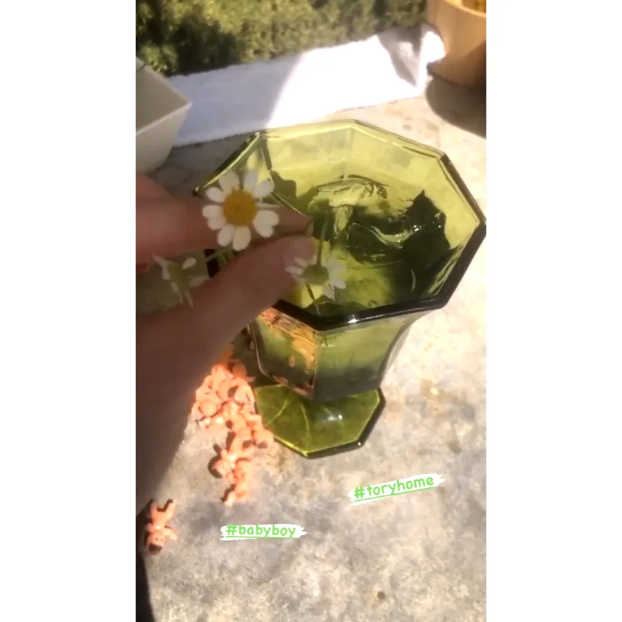 Pregnant Emma Roberts Celebrates Her Baby Shower in L.A.