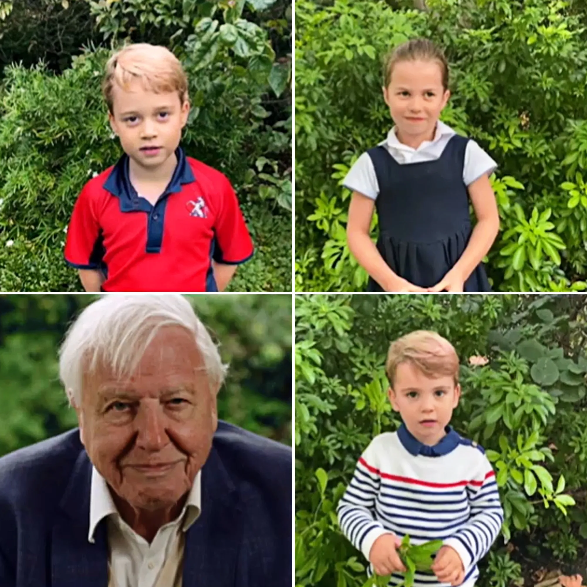 Prince George, Princess Charlotte and Prince Louis Speak on Camera for the 1st Time as They Quiz David Attenborough