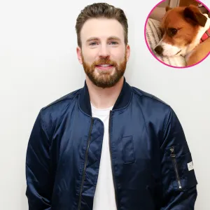 Shirtless Chris Evans Cuddles Bed With His Pup Dodger