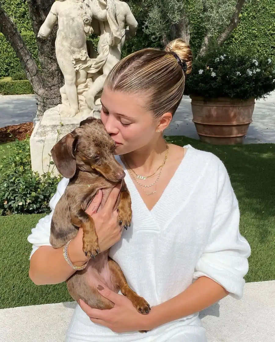 Sofia Richie Stuns In PrettyLittleThing Posing With Her Dog