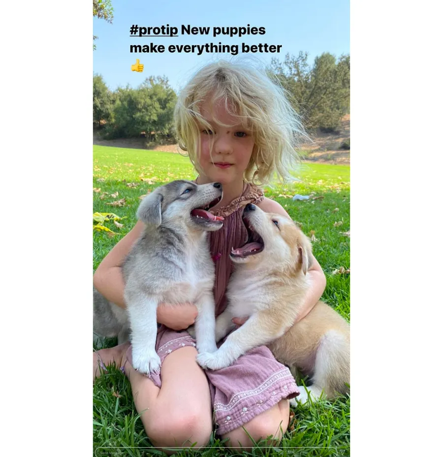 Why James Van Der Beek’s Family Is Moving From Los Angeles to Texas