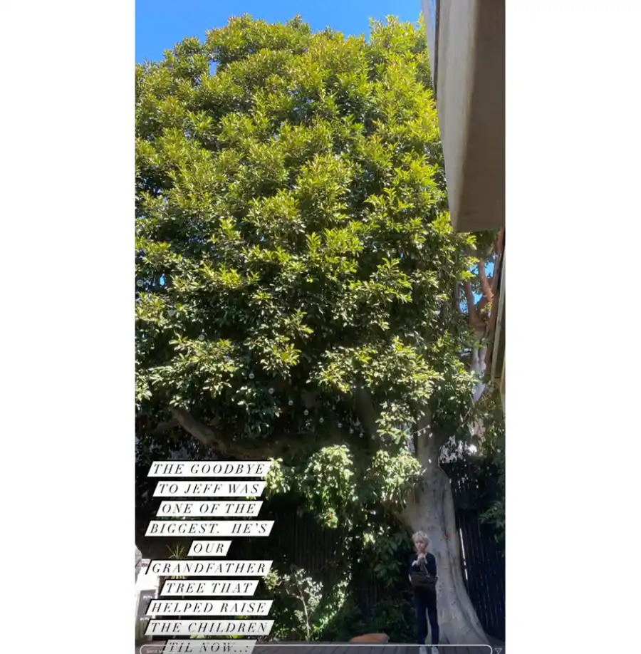 Why James Van Der Beek’s Family Is Moving From Los Angeles to Texas