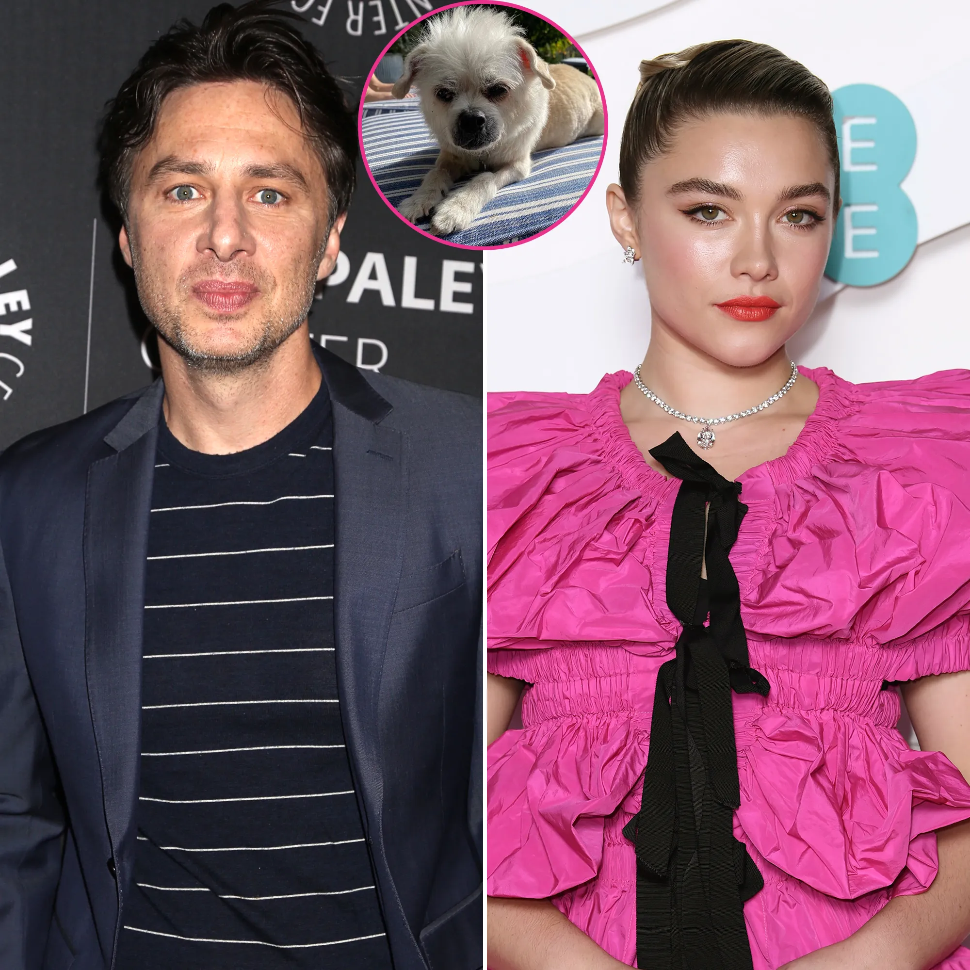 Zach Braff and Girlfriend Florence Pugh Mourn the Death of Their Dog Roscoe