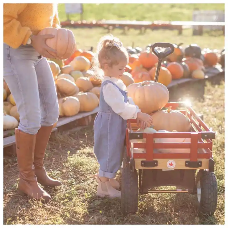 Jillian Harris Celebrity Parents Visiting Pumpkin Patches With Their Kids in Fall 2020: Pics