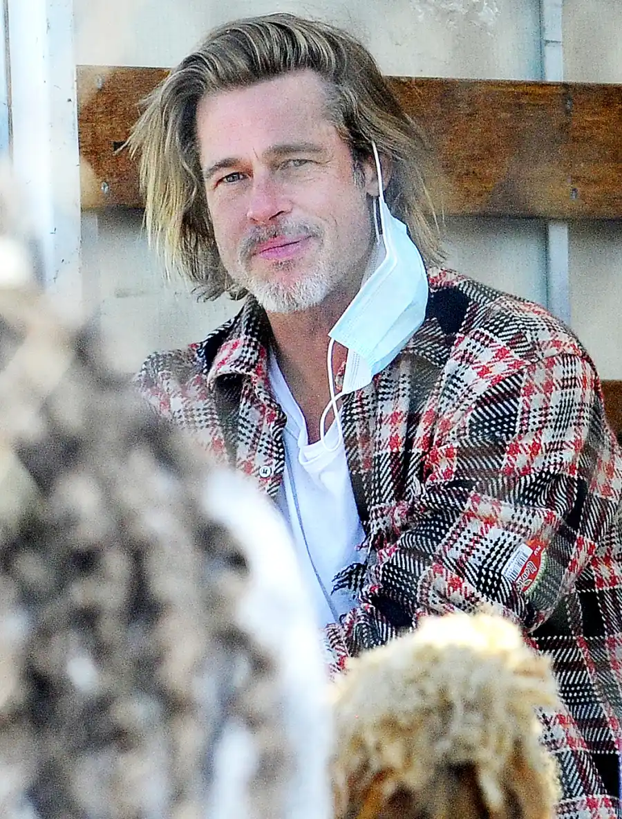 Brad Pitt Spotted Doing Charity Work in LA Amid Split From Girlfriend Nicole Poturalski
