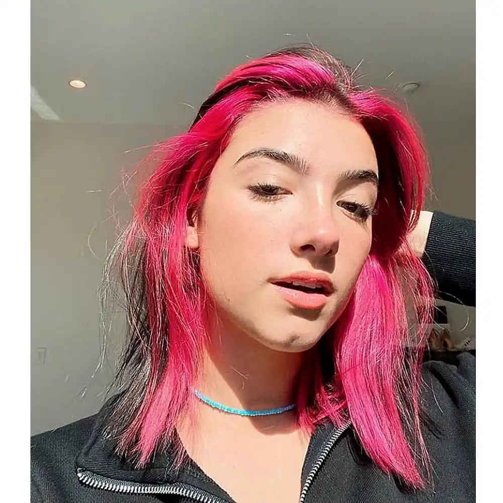 TikTok Star Charli D&rsquo;Amelio Breaks Down Tears After Chef Video Backlash