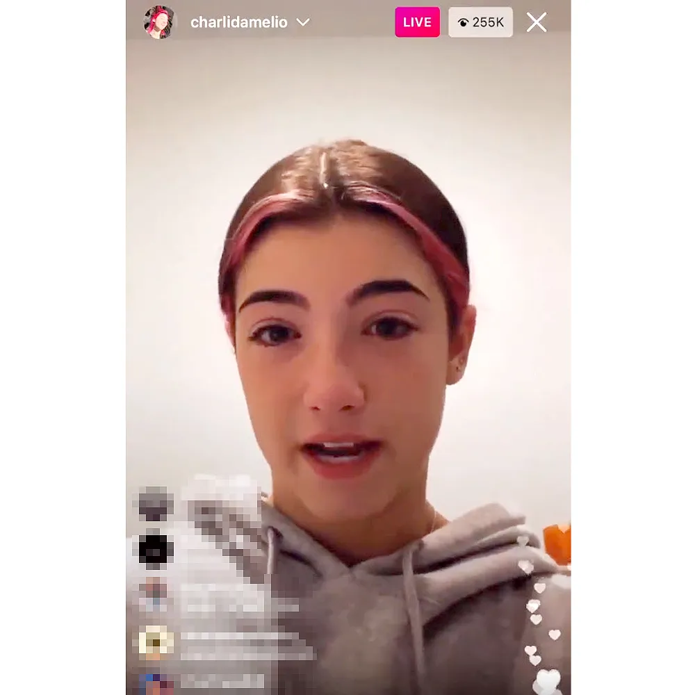 TikTok Star Charli D&rsquo;Amelio Breaks Down Tears After Chef Video Backlash