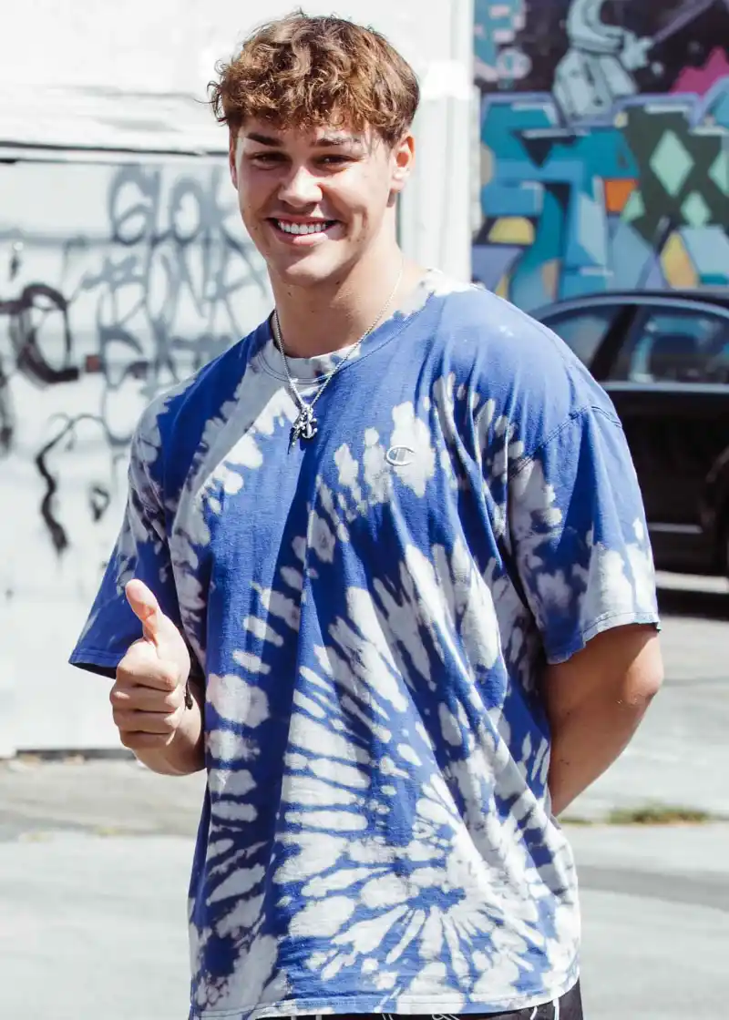 D’Amelio Family Chef Defends Charli and Dixie as TikTokers Weigh in on Controversy