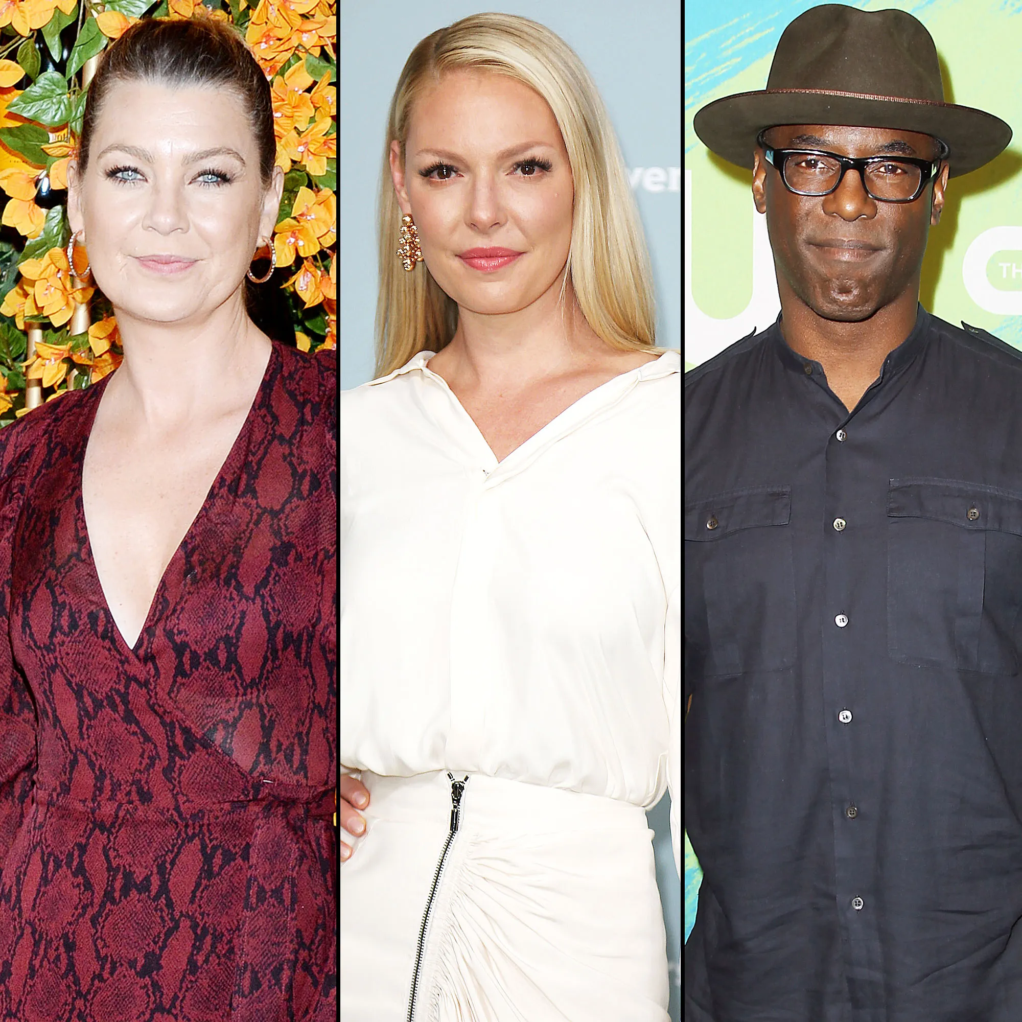 Ellen Pompeo Posts Katherine Heigl GIF After Isaiah Washington Slams Former Costar