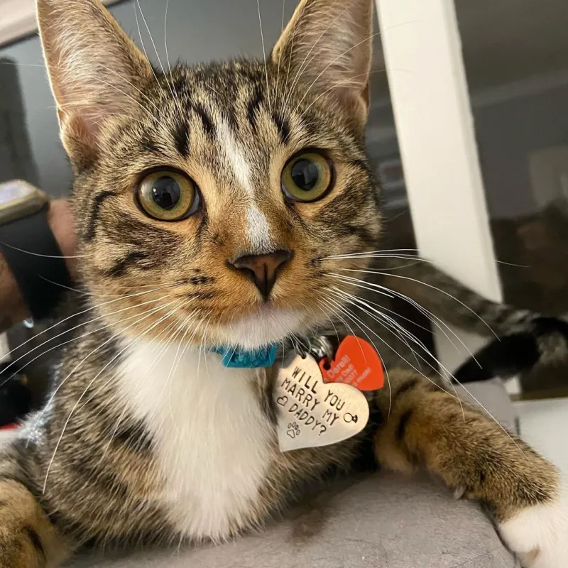 Gabourey Sidibe Is Engaged to Brandon Frankel After More Than 1 Year of Dating 2