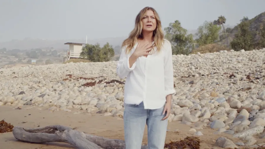 Grey's Anatomy's Ellen Pompeo Reveals How Shocking Premiere Reunion Came About