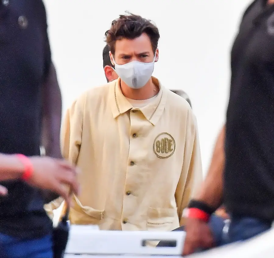 Harry Styles Movie Don’t Worry Darling Halted Over Positive COVID-19 Test