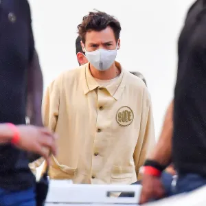Harry Styles Movie Don’t Worry Darling Halted Over Positive COVID-19 Test