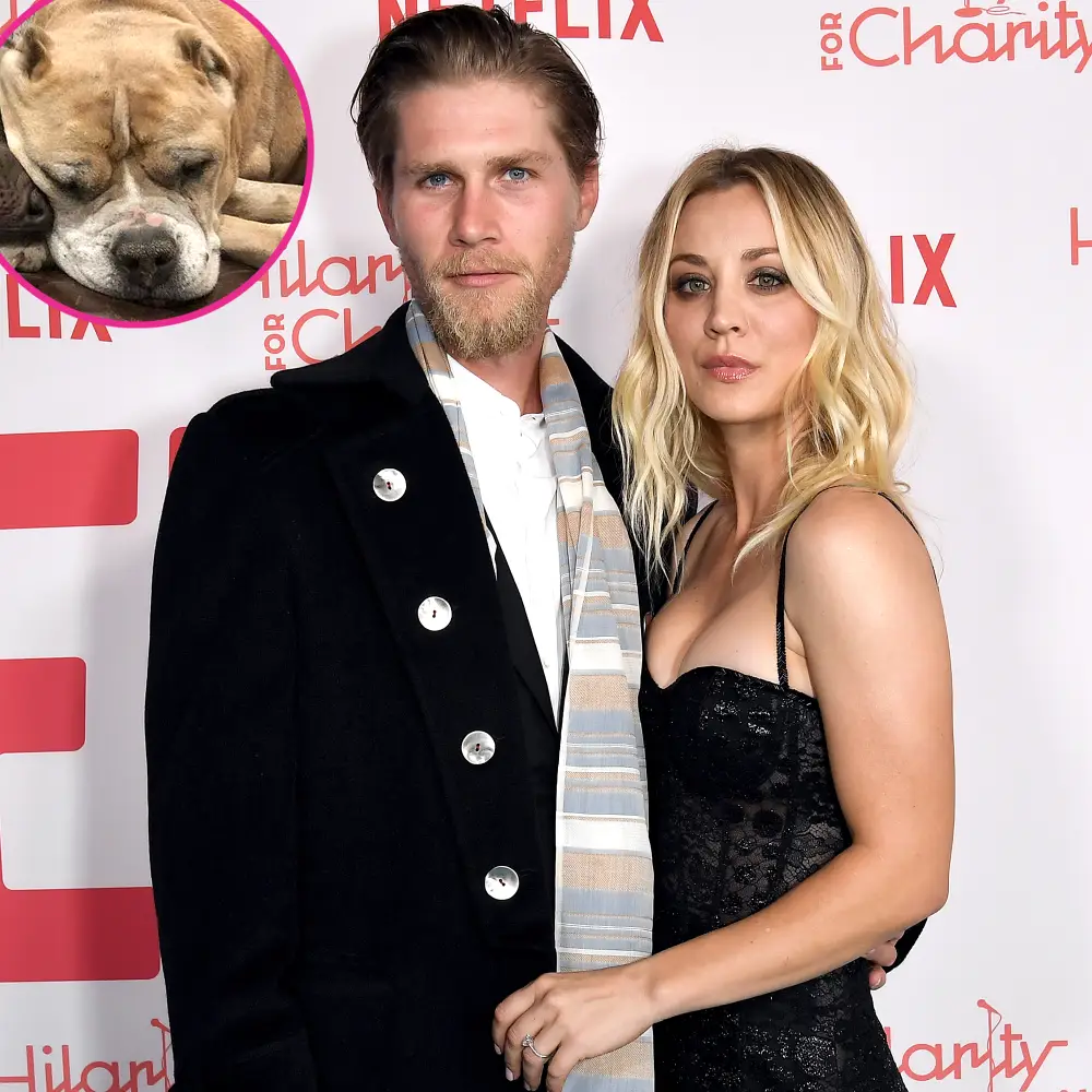 Kaley Cuoco Husband Karl Cook Mourn Death Their Rescue Dog Petunia