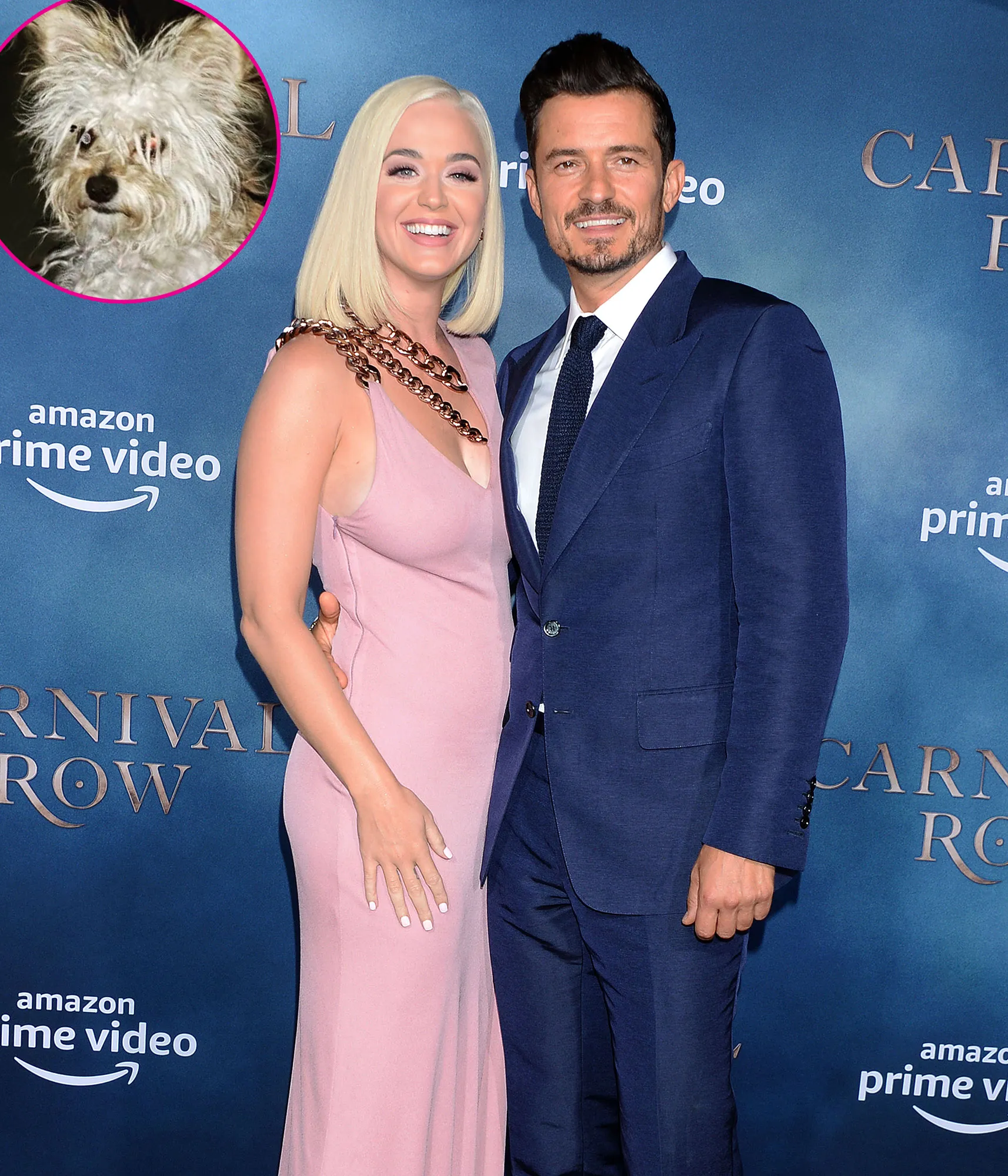 Katy Perry and Orlando Bloom Foster a New Puppy Buddy
