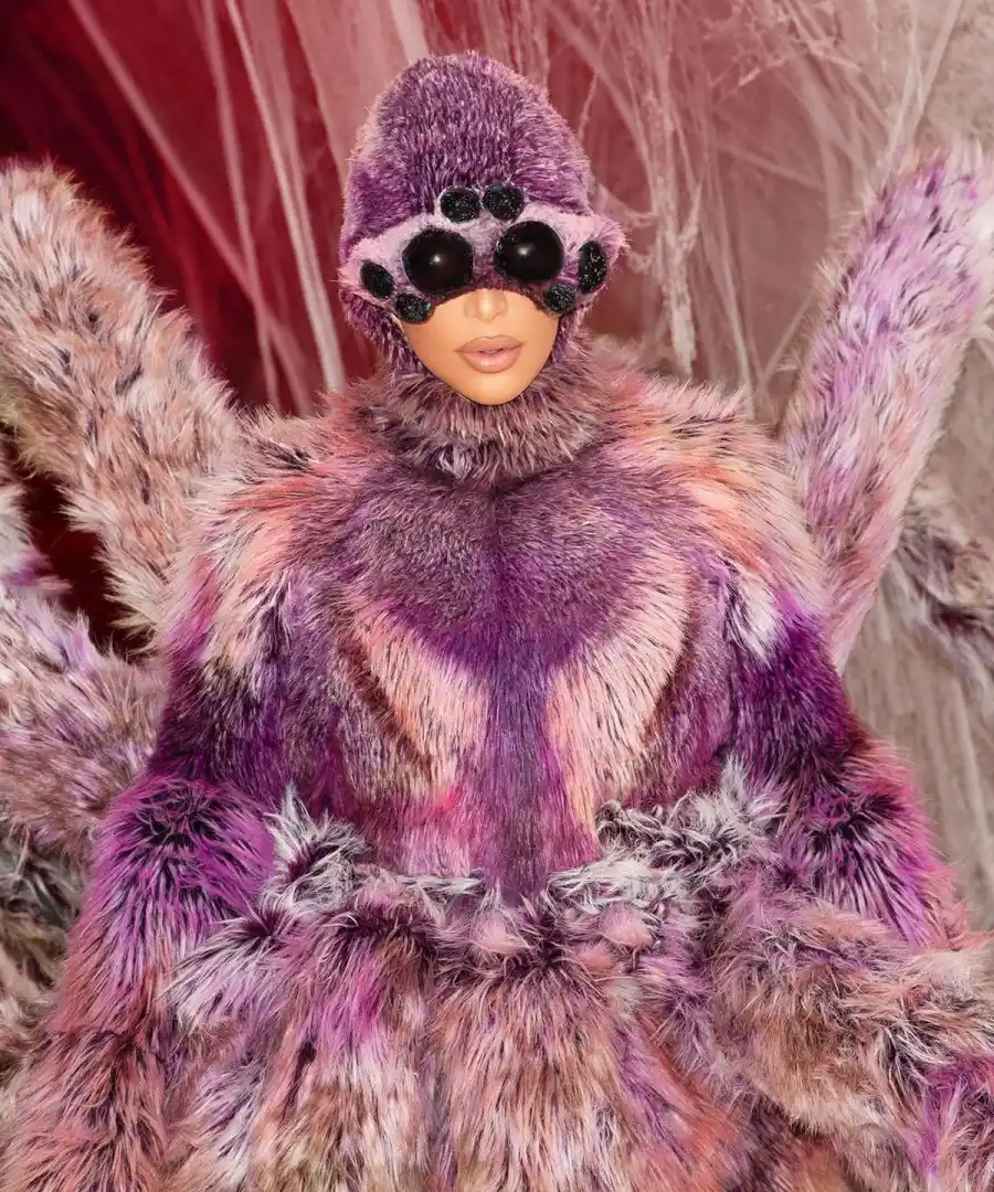 Kim Kardashian and Kanye West Dress as Spiders Celebrating Halloween With 4 Kids: Pics