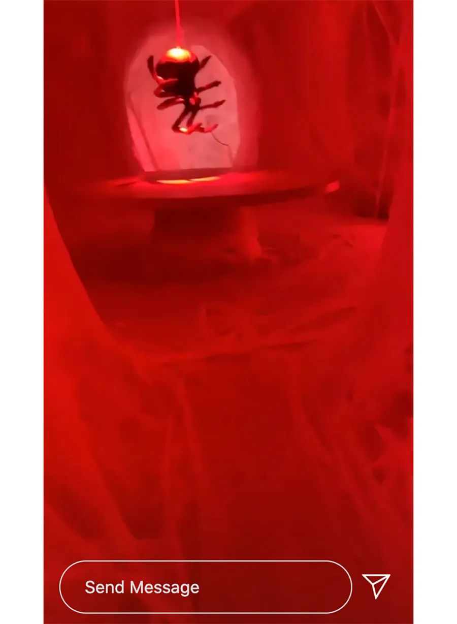 Kim Kardashian and Kanye West Dress as Spiders Celebrating Halloween With 4 Kids: Pics