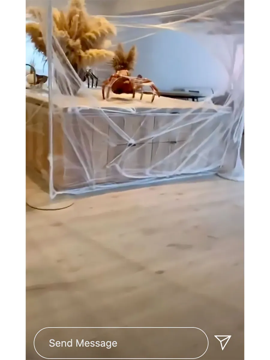 Kim Kardashian and Kanye West Dress as Spiders Celebrating Halloween With 4 Kids: Pics