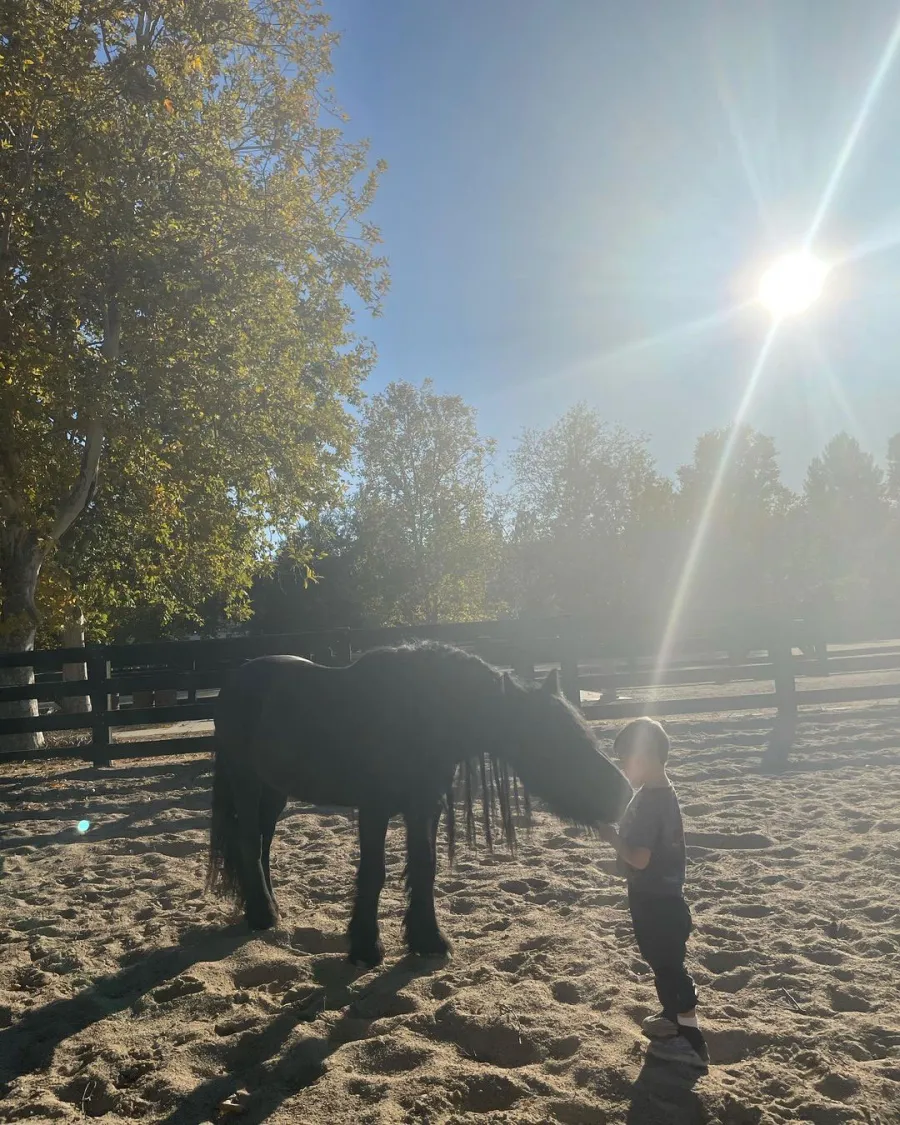 Kourtney Kardashian and Scott Disick Son Reign Horse