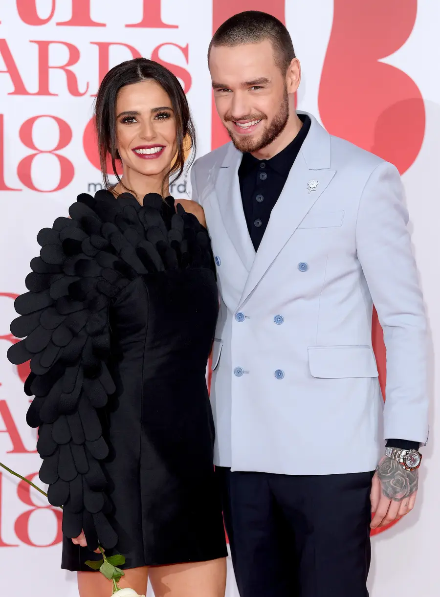 Liam Payne and Cheryl Cole quarantine coparenting