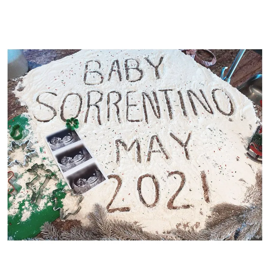 Mike The Situation Sorrentino and Lauren Sorrentino Pregnant