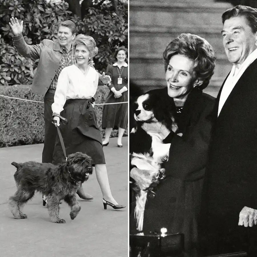 Lucky and Rex (Reagan) Pets White House Through Years