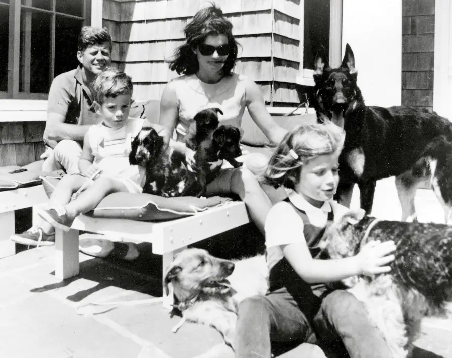 Macaroni, Tex and Leprechaun (JFK) Pets White House Through Years
