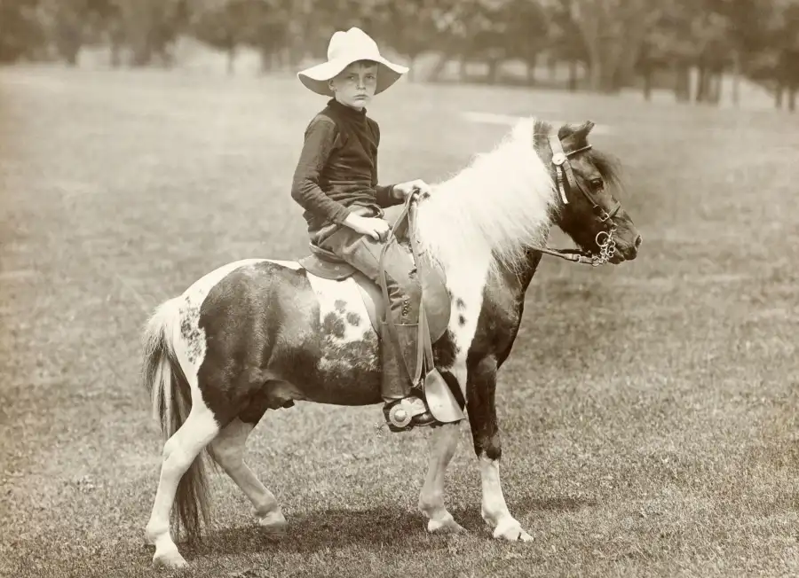 Algonquin (Teddy Roosevelt) Pets White House Through Years