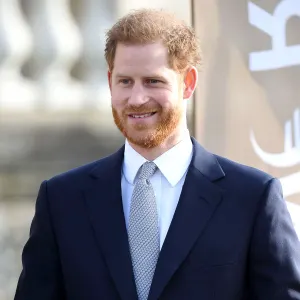 Prince Harry Joins A-Listers in Supporting Heroes After Remembrance Day Drama
