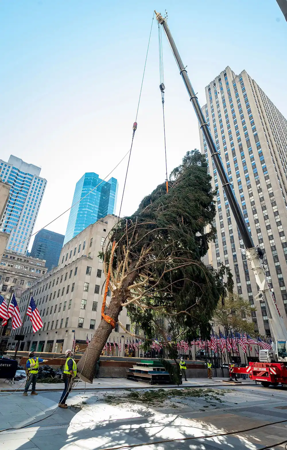 Rockefeller Center Claps Back After 2020 Christmas Tree Goes Viral, Draws Charlie Brown Comparisons
