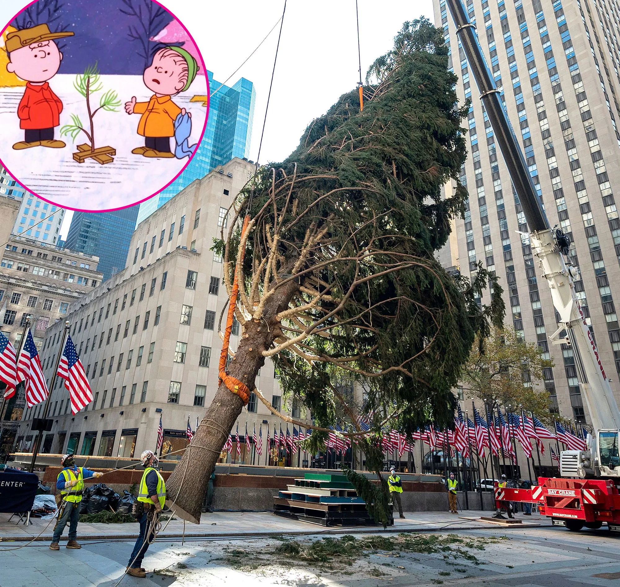 Rockefeller Center Claps Back After 2020 Christmas Tree Goes Viral, Draws Charlie Brown Comparisons
