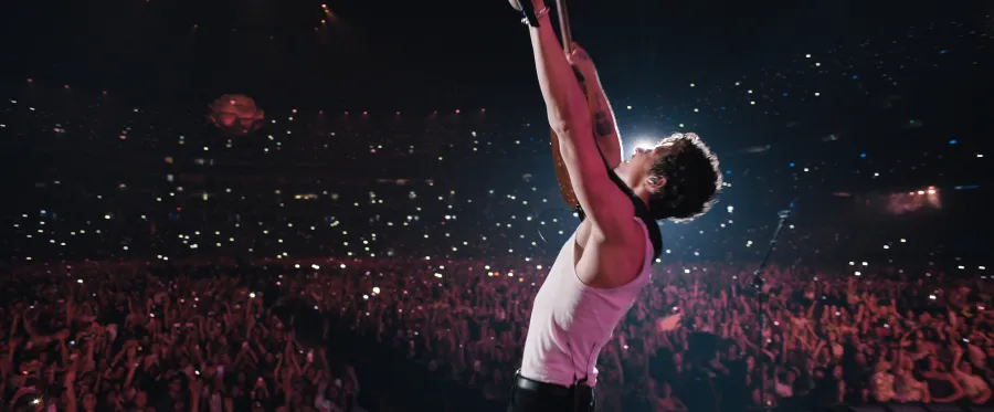 Shawn Mendes In Wonder