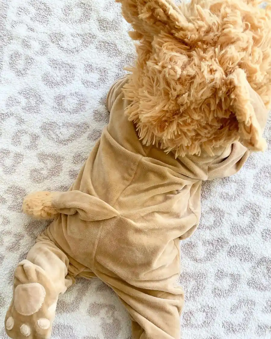 Celebrity Kids’ Halloween Costumes of 2020: Pirates, Princesses and More