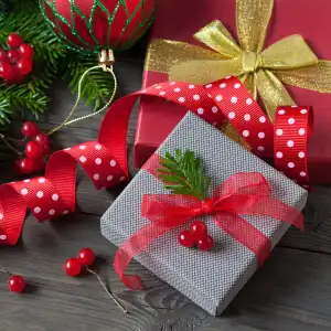 Holiday Gift Guide 2020