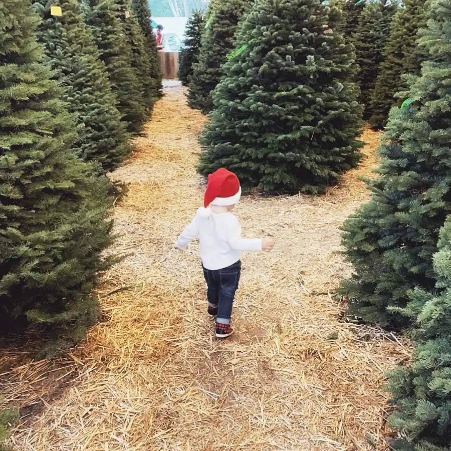 Lauren Conrads Family Album With William Tell and Sons